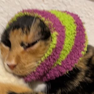 Meet your Posher, Sadie